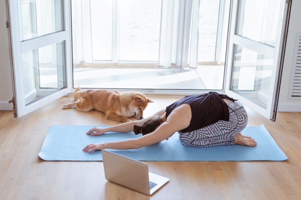 Woman training at home, watching online videos on laptop, Shiba Inu dog sleeping near her