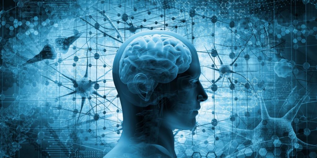 picture of brain and neurons